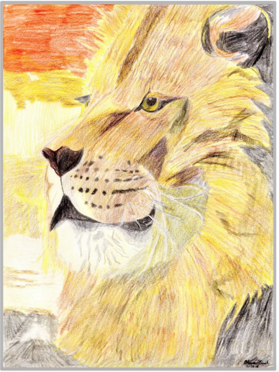 Online Christian homeschool student's hand-drawn artwork featuring a lion