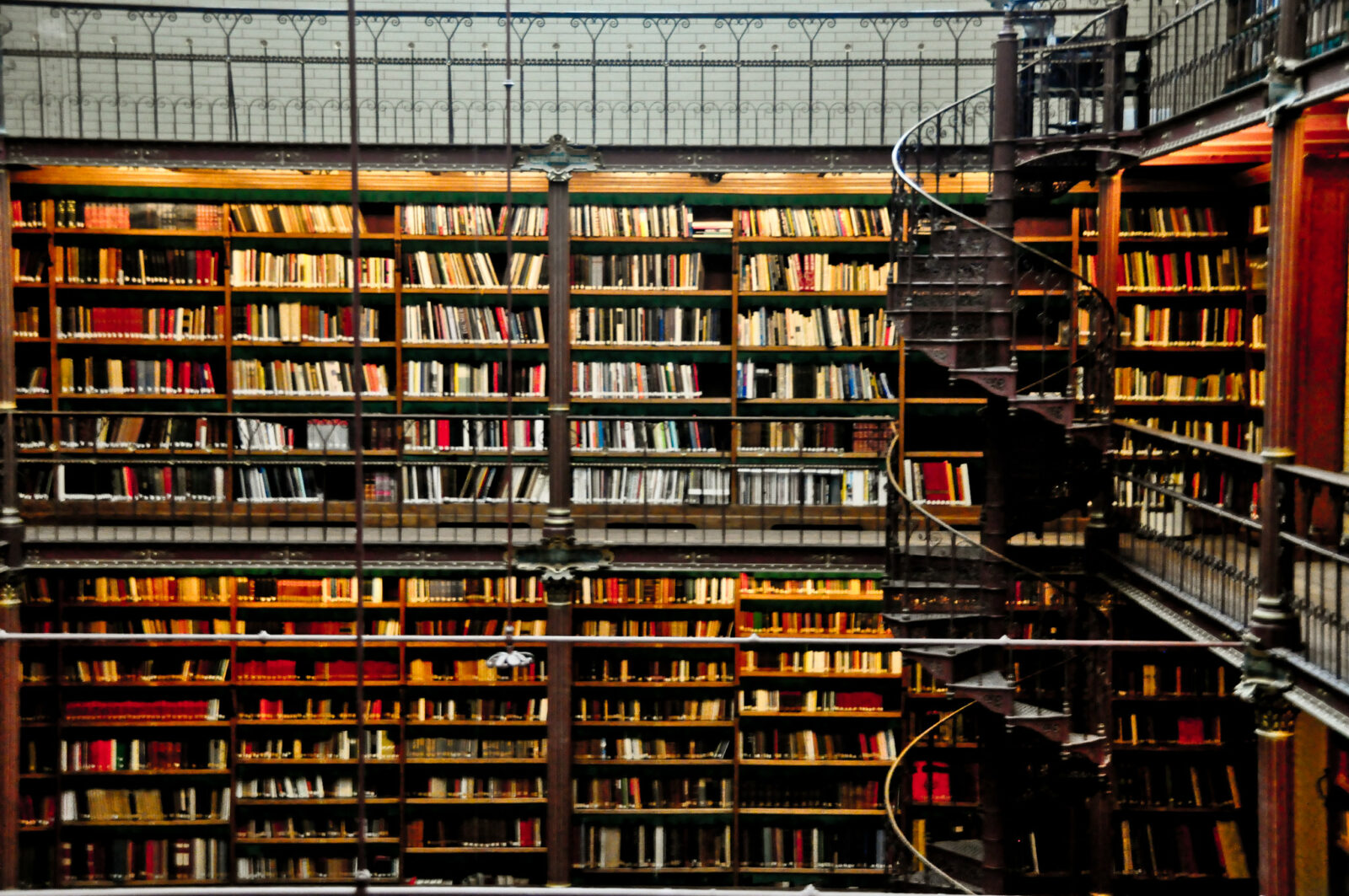 Photo of modern literature and other books at Rijksmuseum Library in Amsterdam.