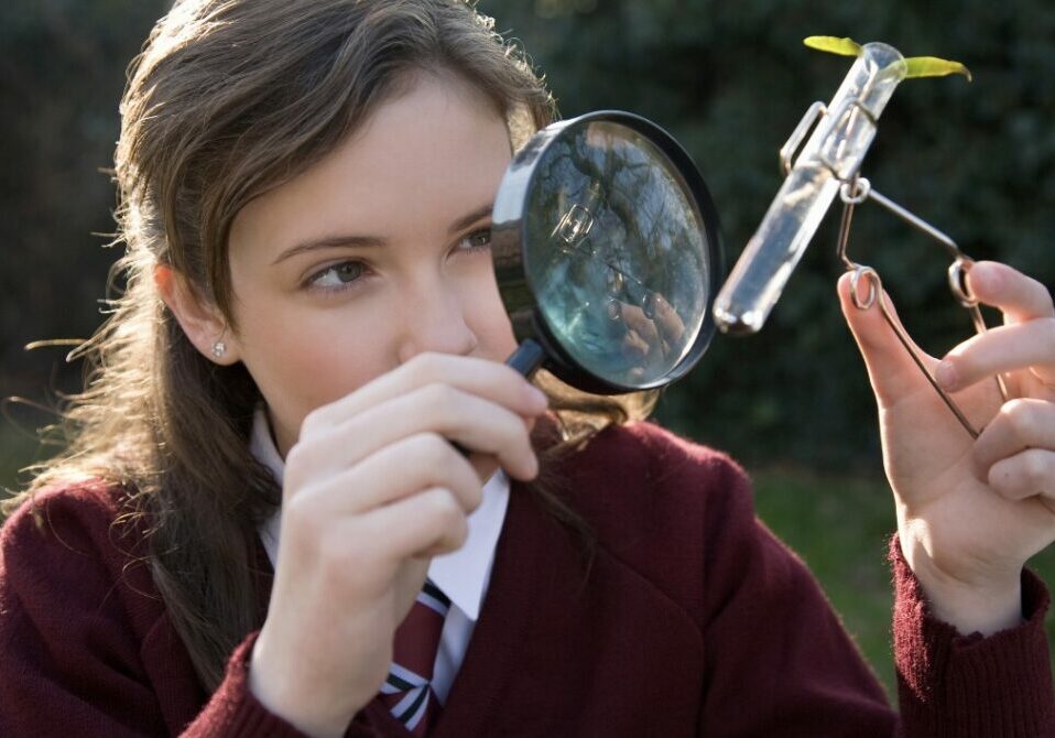 xr:d:DAF19ks-mVE:46,j:4335132814460259455,t:24020919